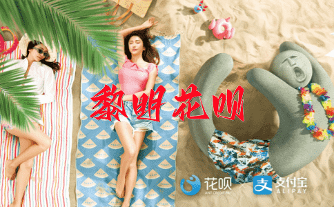 画龙点睛花呗